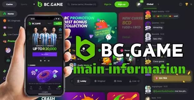 The Comprehensive Guide to the BC Mobile App